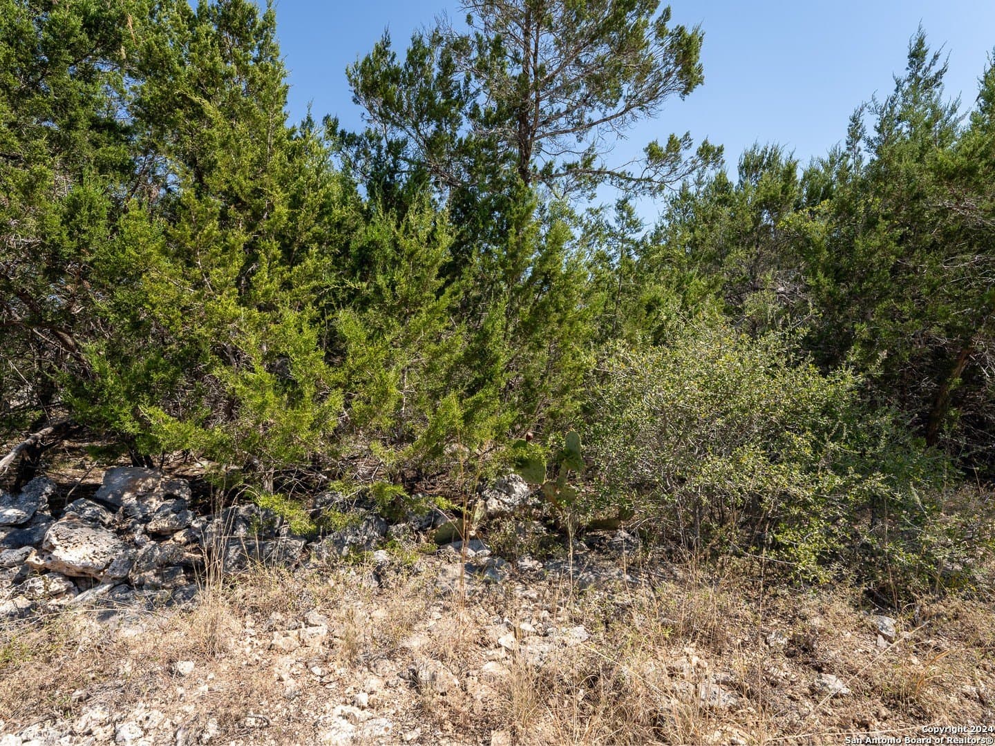 0.23 acres in Blanco County - photo 8
