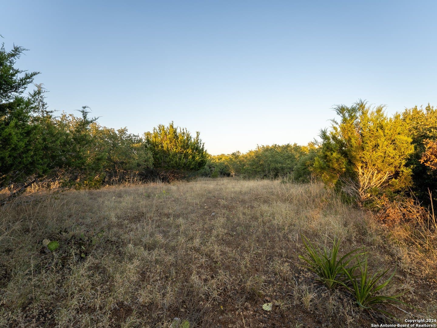 0.23 acres in Blanco County gallery image 2