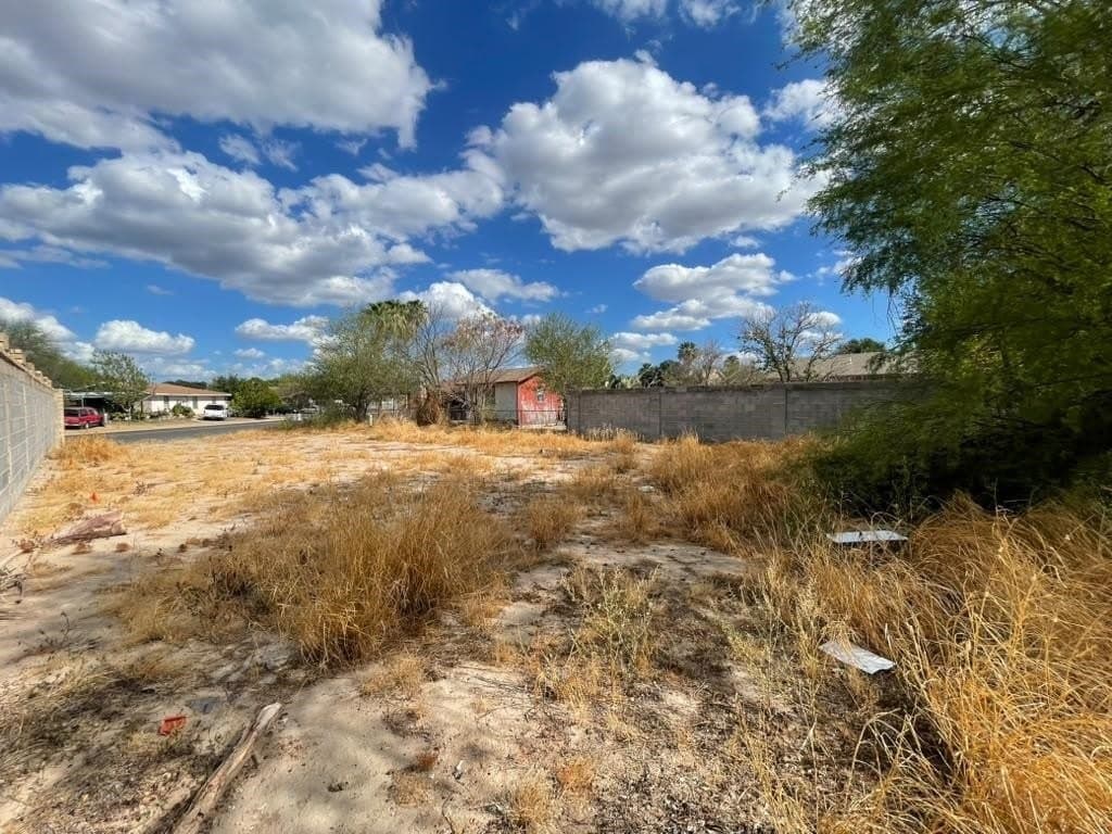 0.15 acres in WEBB County - photo 8