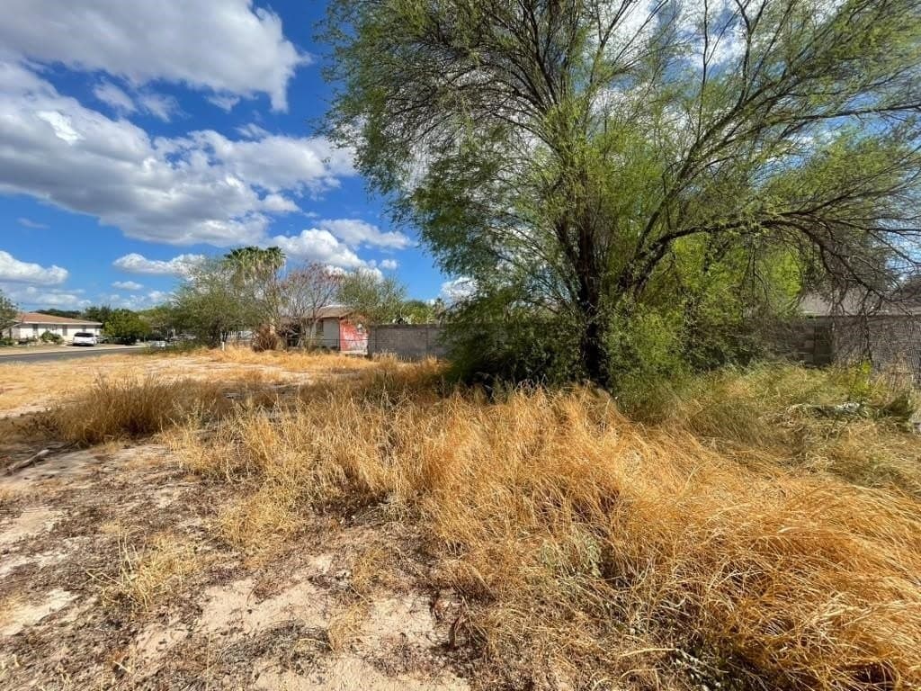 0.15 acres in WEBB County - photo 5