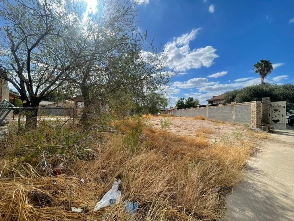 0.15 acres in WEBB County - photo 3