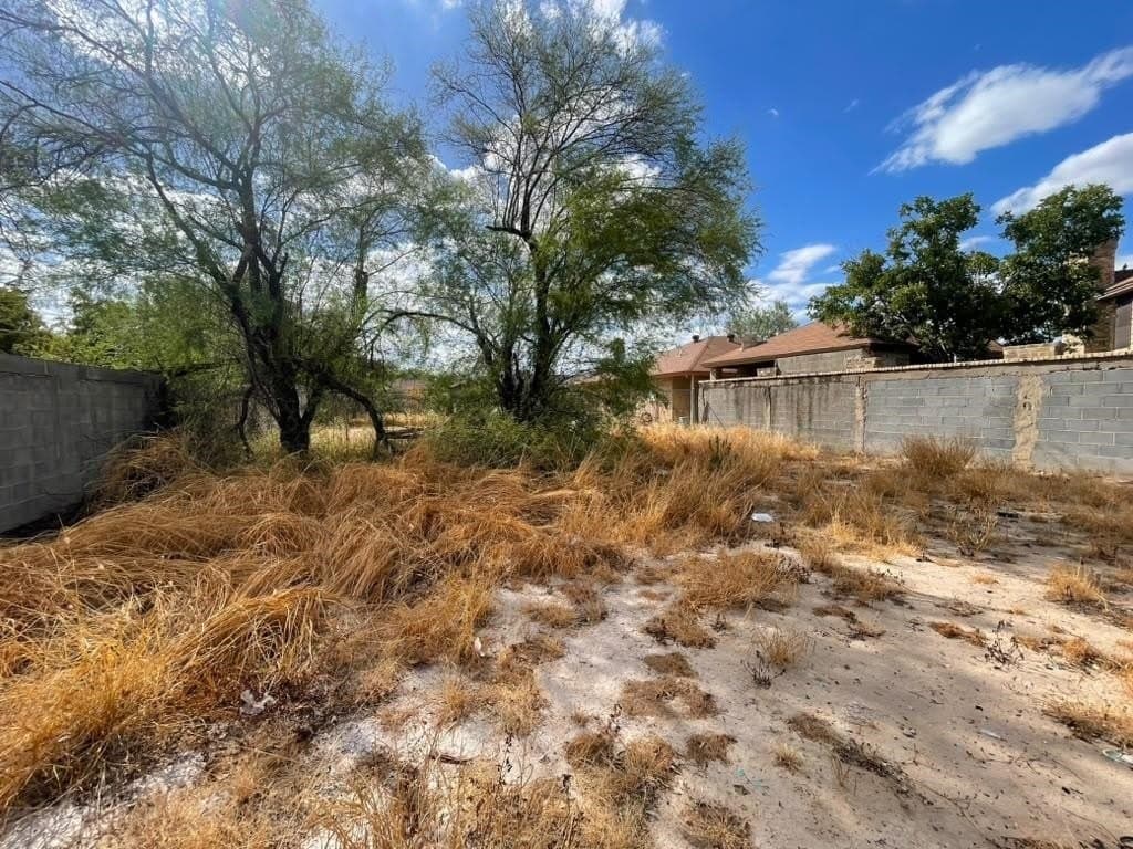 0.15 acres in WEBB County - photo 7