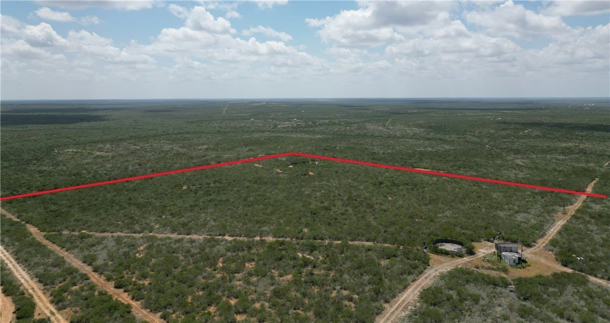 50 acres in Duval County gallery image 2