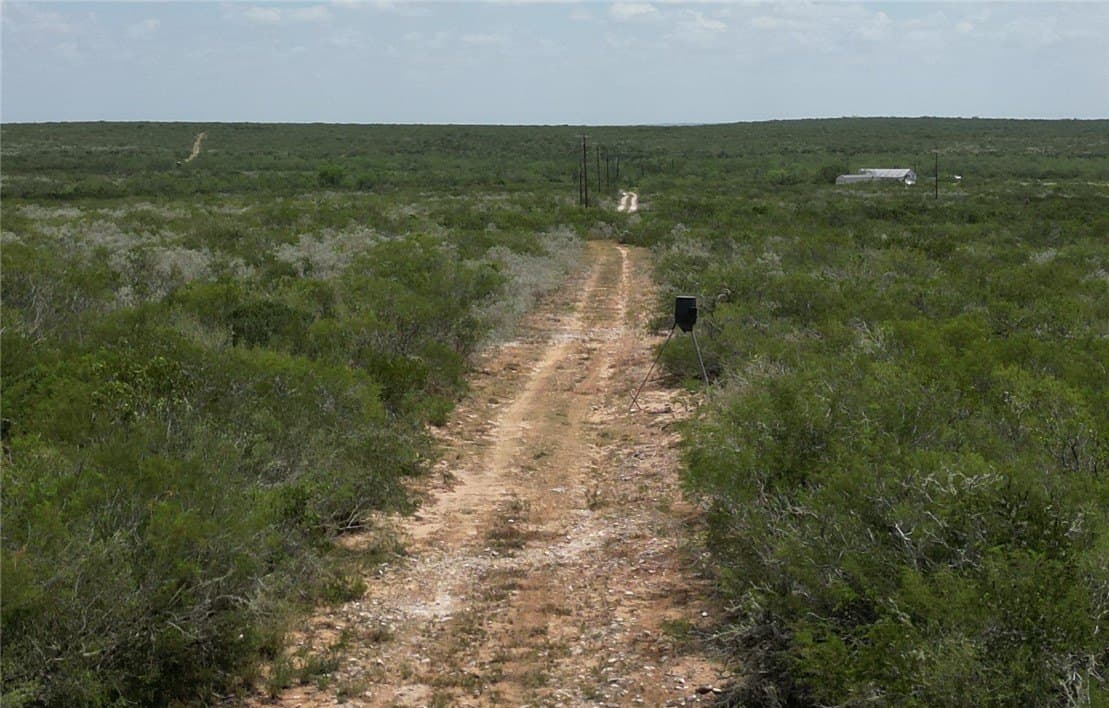 50 acres in Duval County featured view