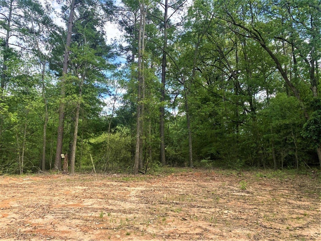 0.83 acres in Texas County gallery image 3