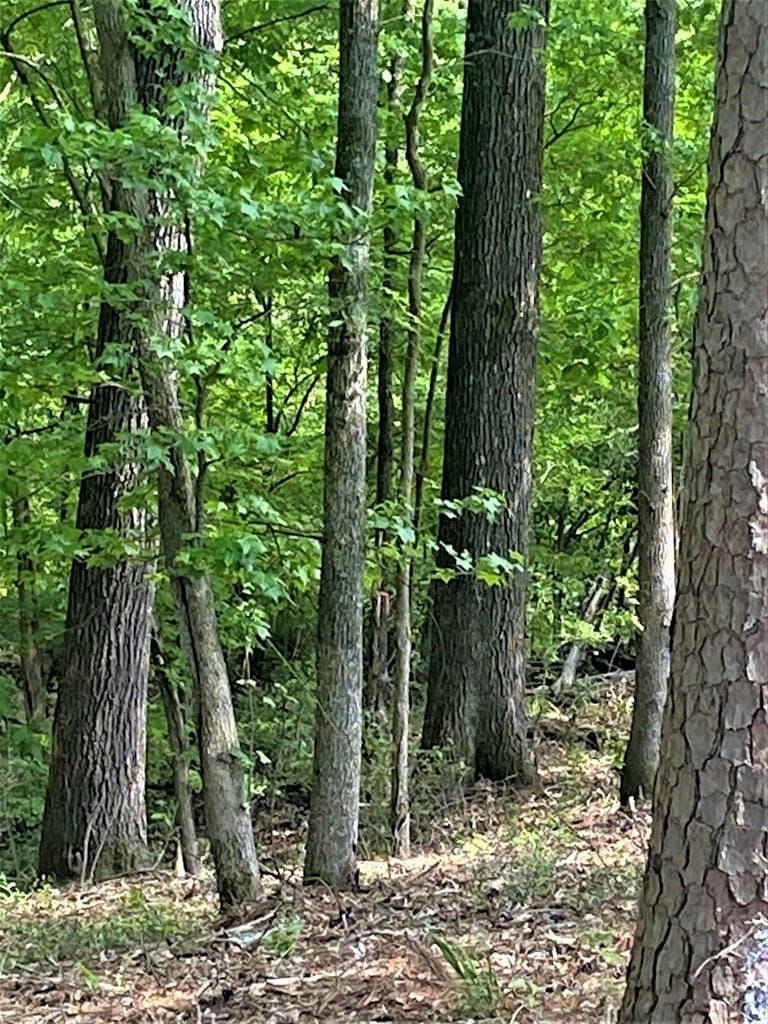 0.83 acres in Texas County featured view