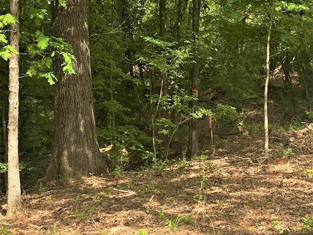 0.83 acres in Texas County gallery image 4