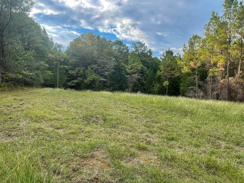 104 acres in Polk County gallery image 4