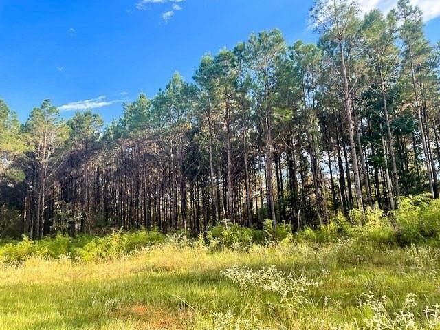 104 acres in Polk County gallery image 3