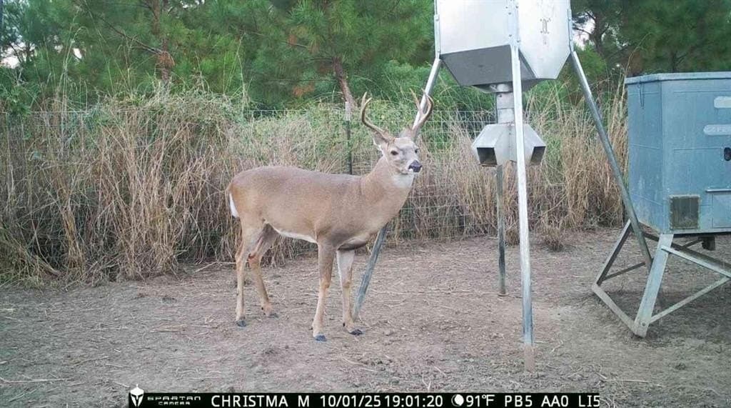 104 acres in Polk County gallery image 2