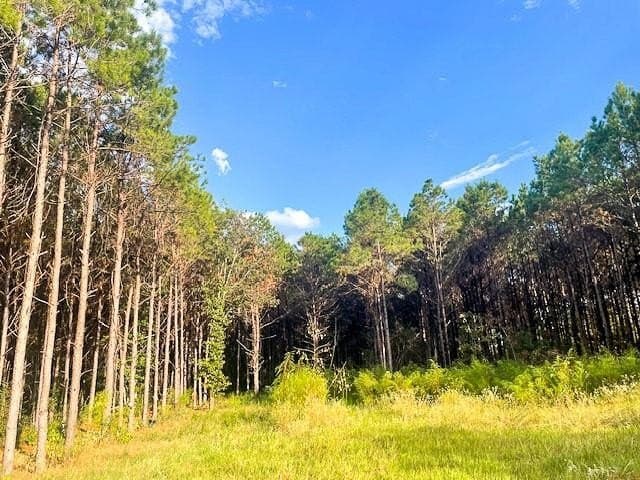 104 acres in Polk County