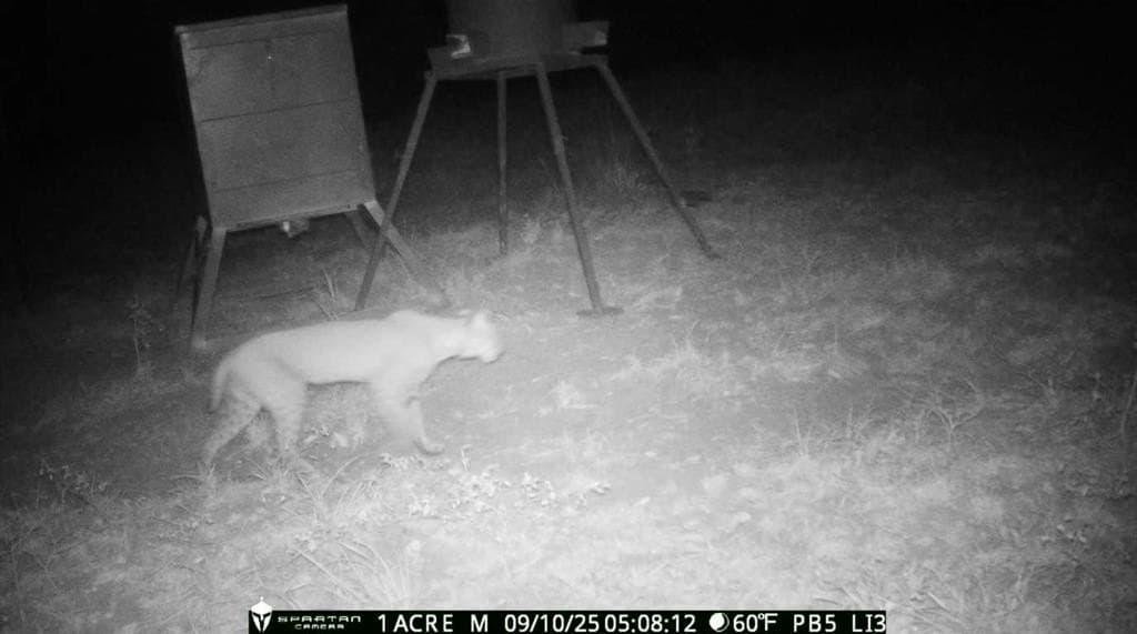 104 acres in Polk County featured view