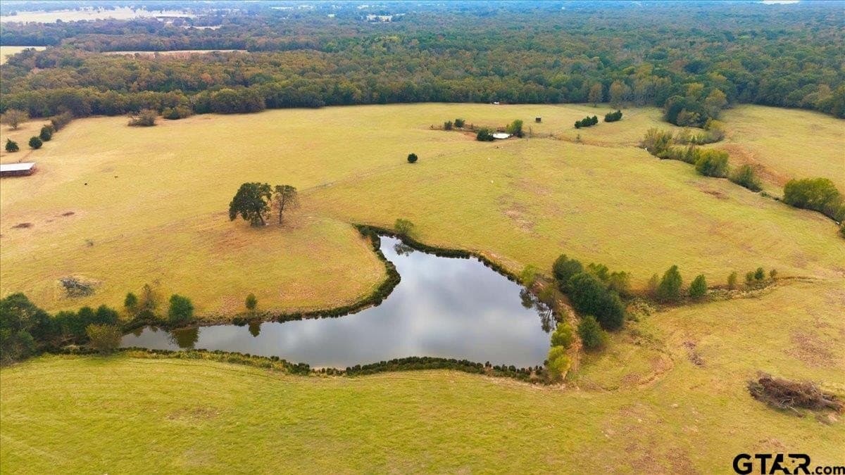 50 acres in Hopkins County - photo 9