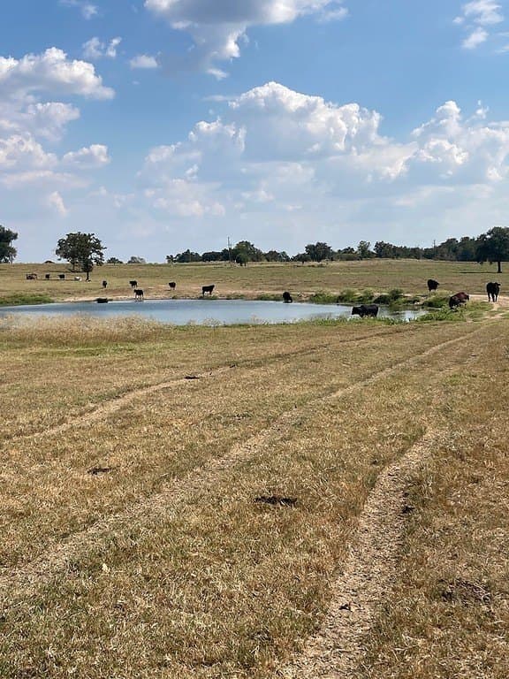 97.59 acres in Burleson County