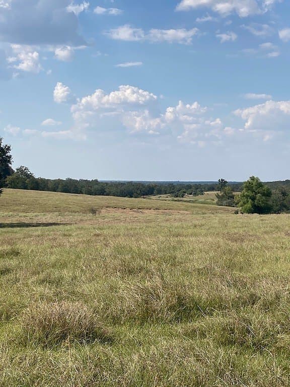 97.59 acres in Burleson County gallery image 3