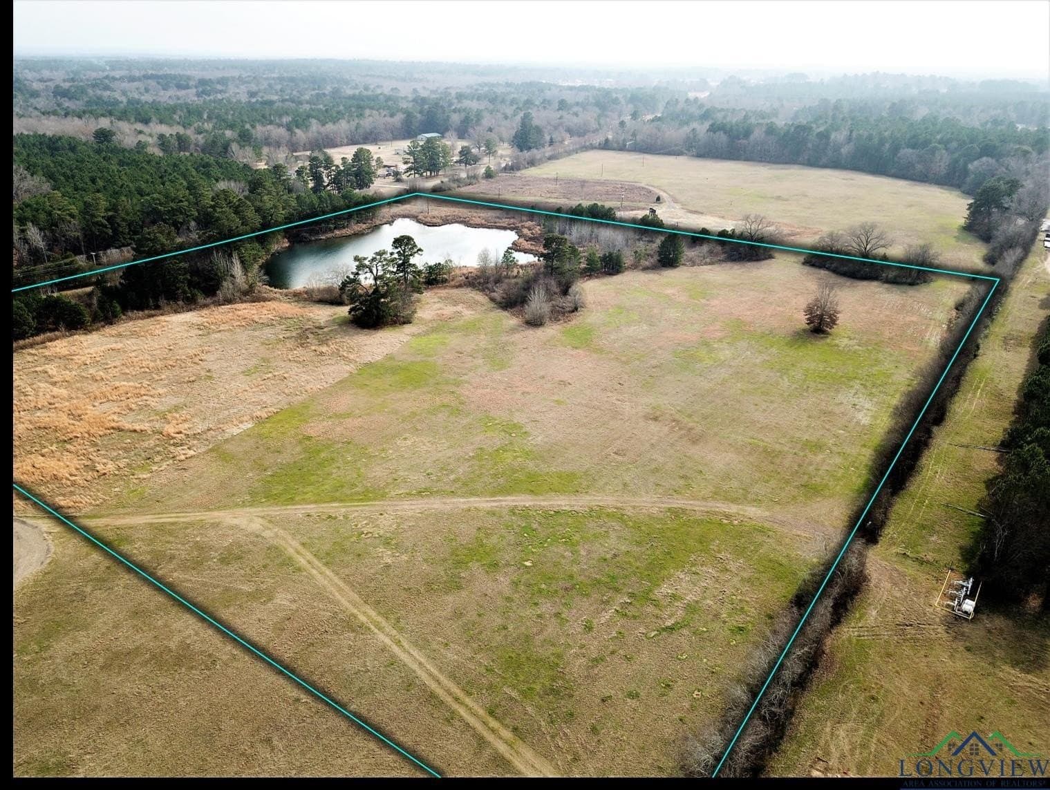 20.5 acres in Gregg County gallery image 3
