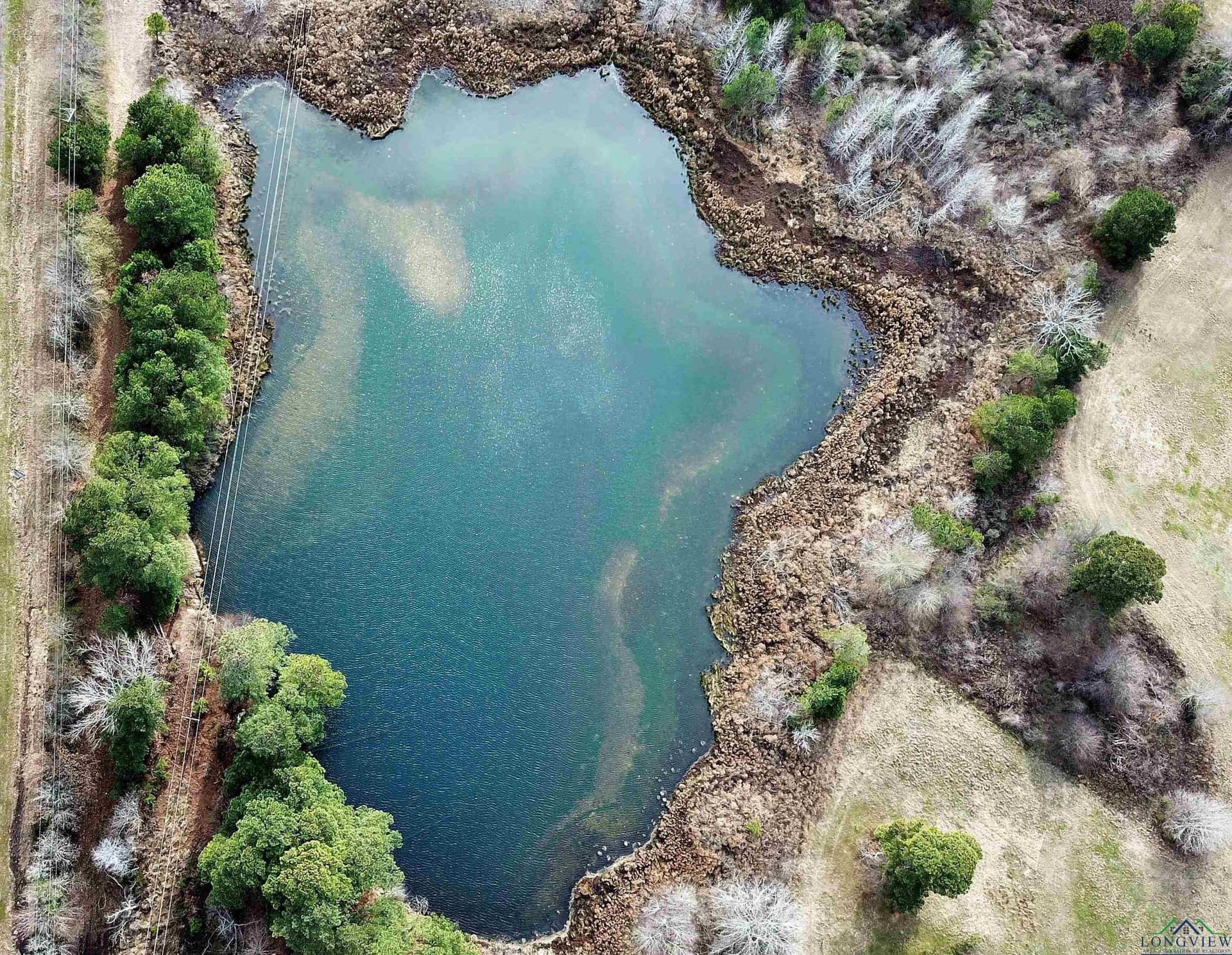 20.5 acres in Gregg County gallery image 4