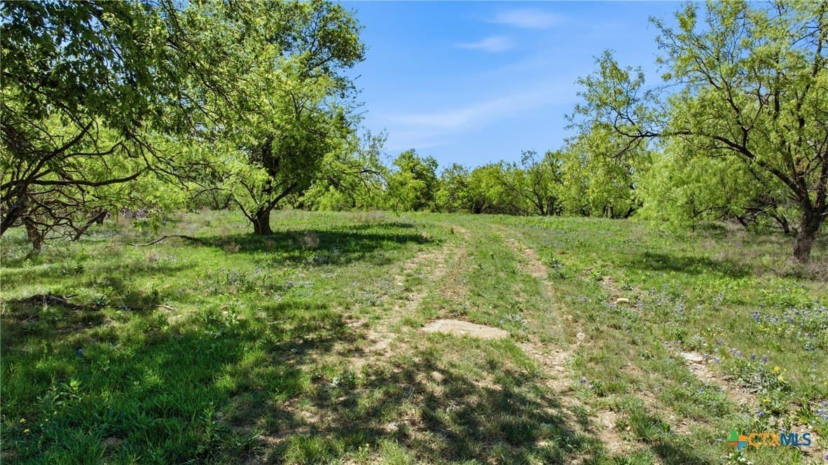 24 acres in Bell County - photo 26