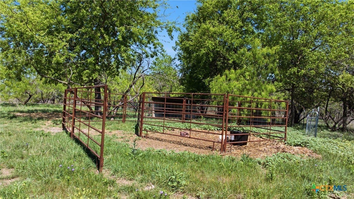 24 acres in Bell County gallery image 4