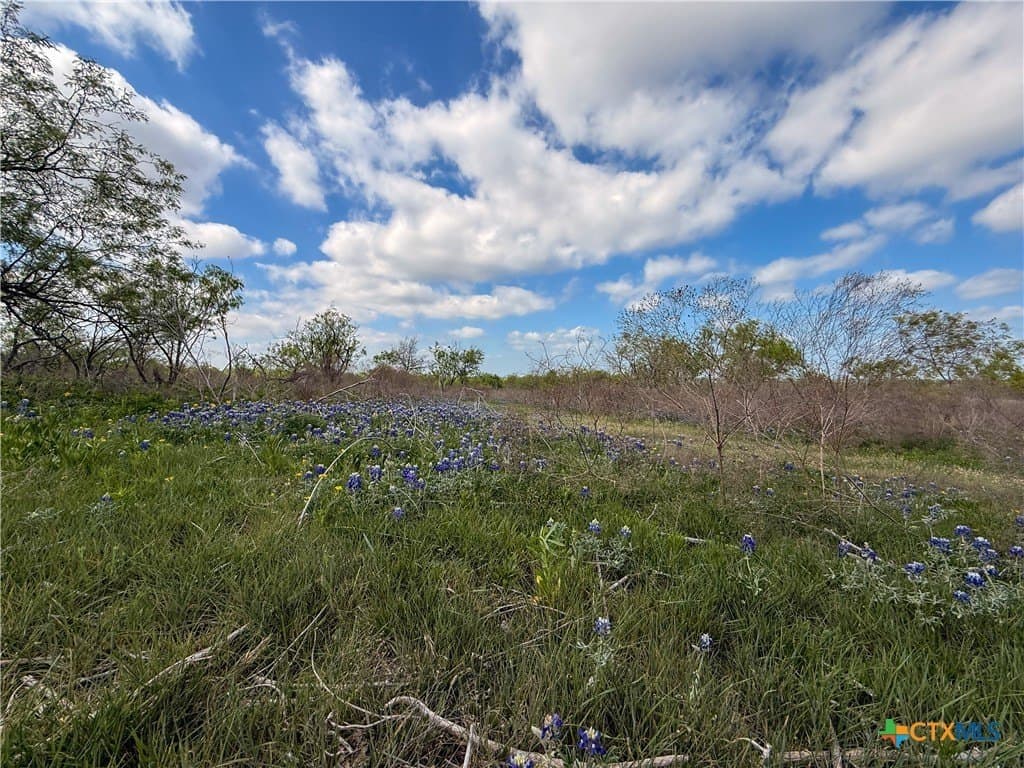 24 acres in Bell County - photo 27