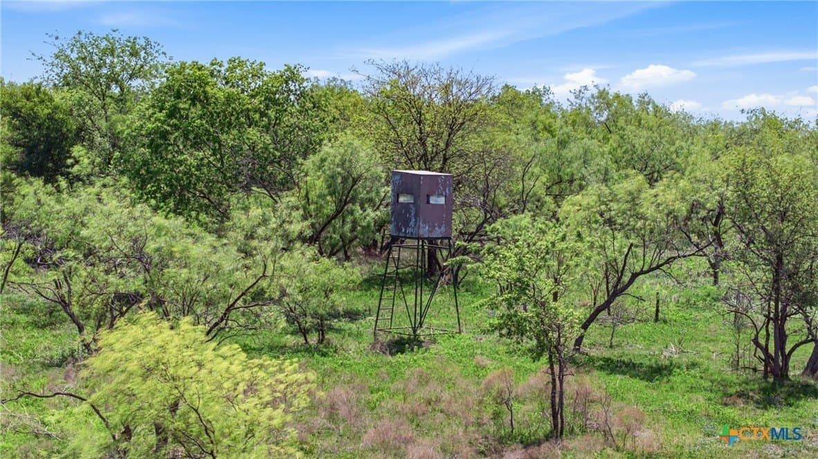 24 acres in Bell County - photo 9
