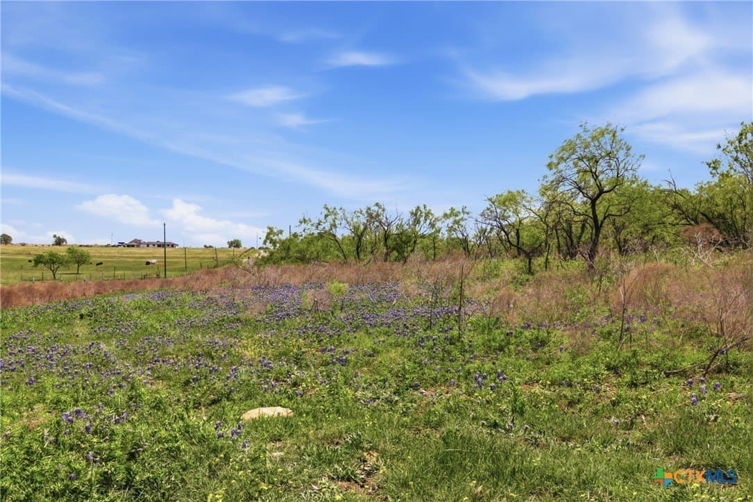 24 acres in Bell County - photo 23