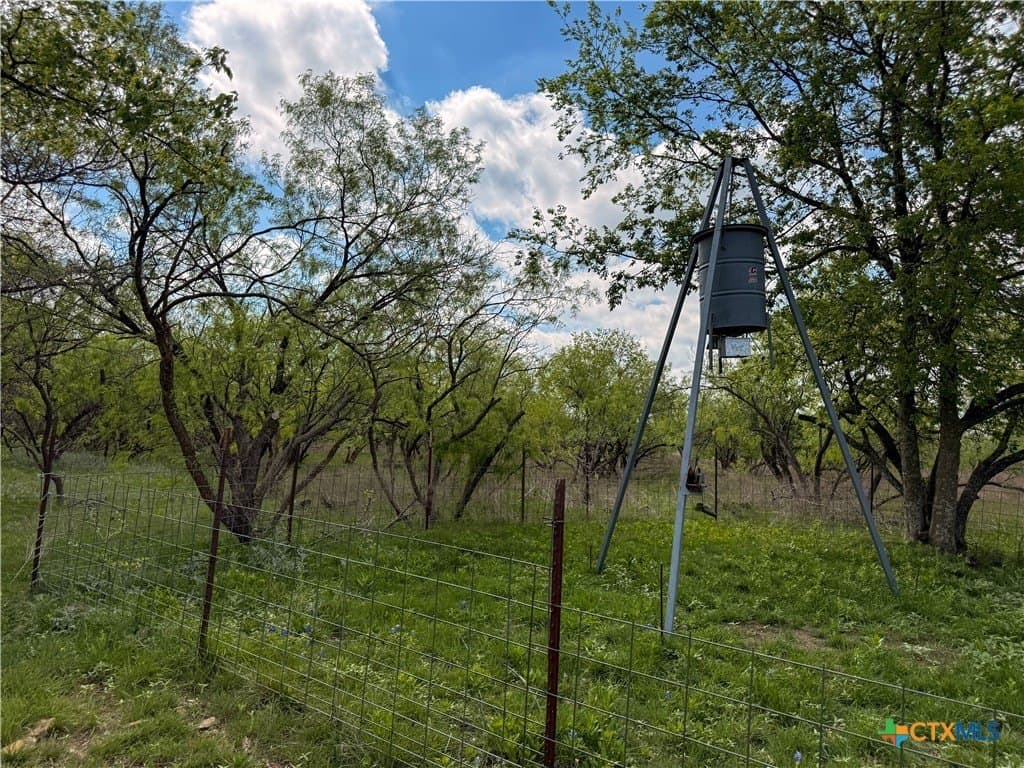 24 acres in Bell County - photo 29