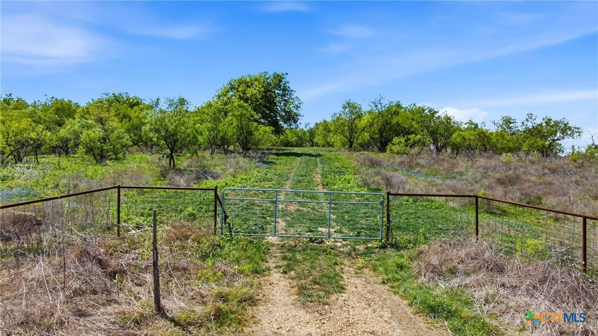 24 acres in Bell County - photo 24