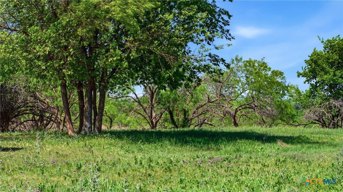 24 acres in Bell County - photo 7