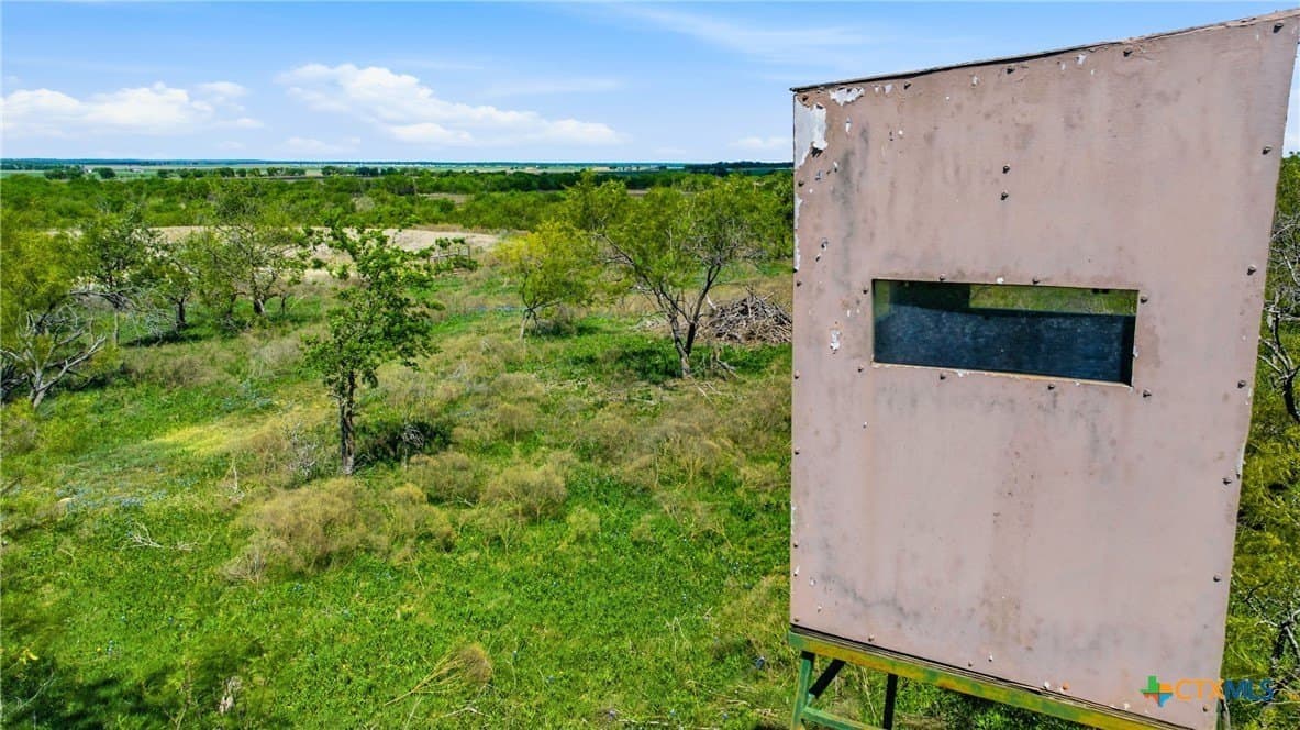 24 acres in Bell County - photo 11
