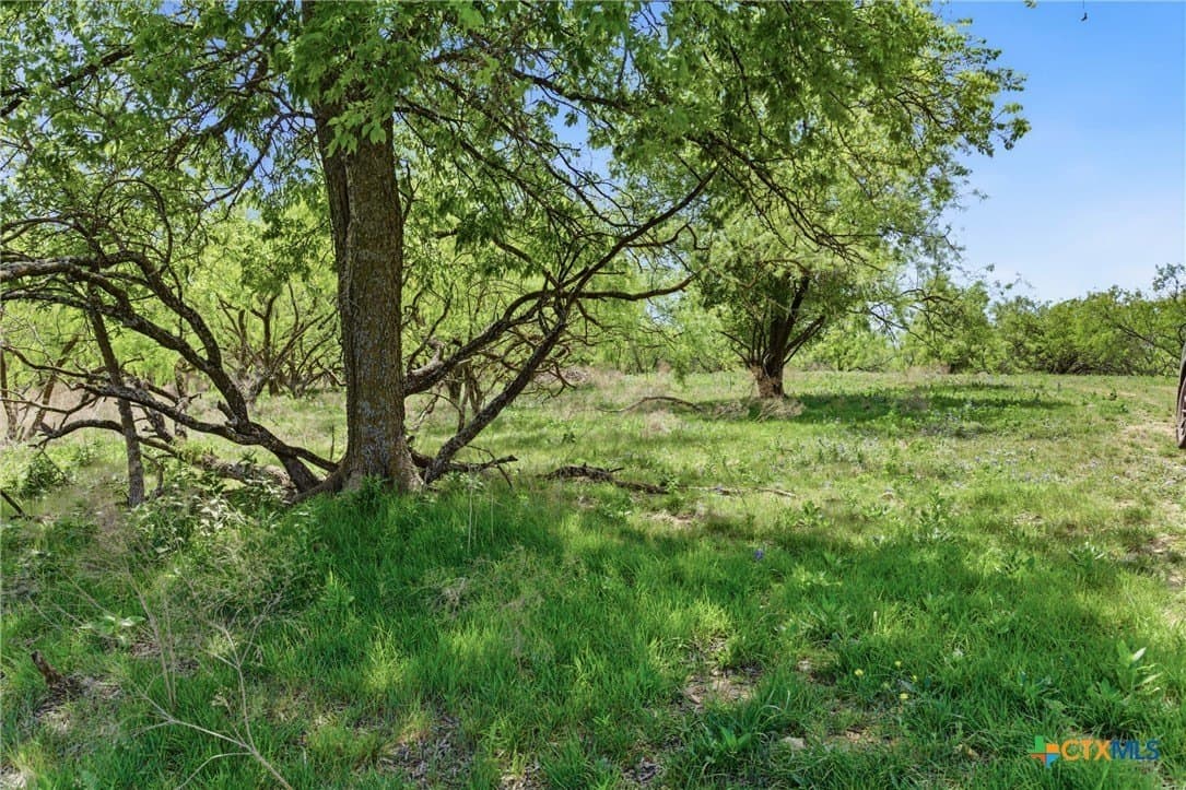 24 acres in Bell County - photo 6