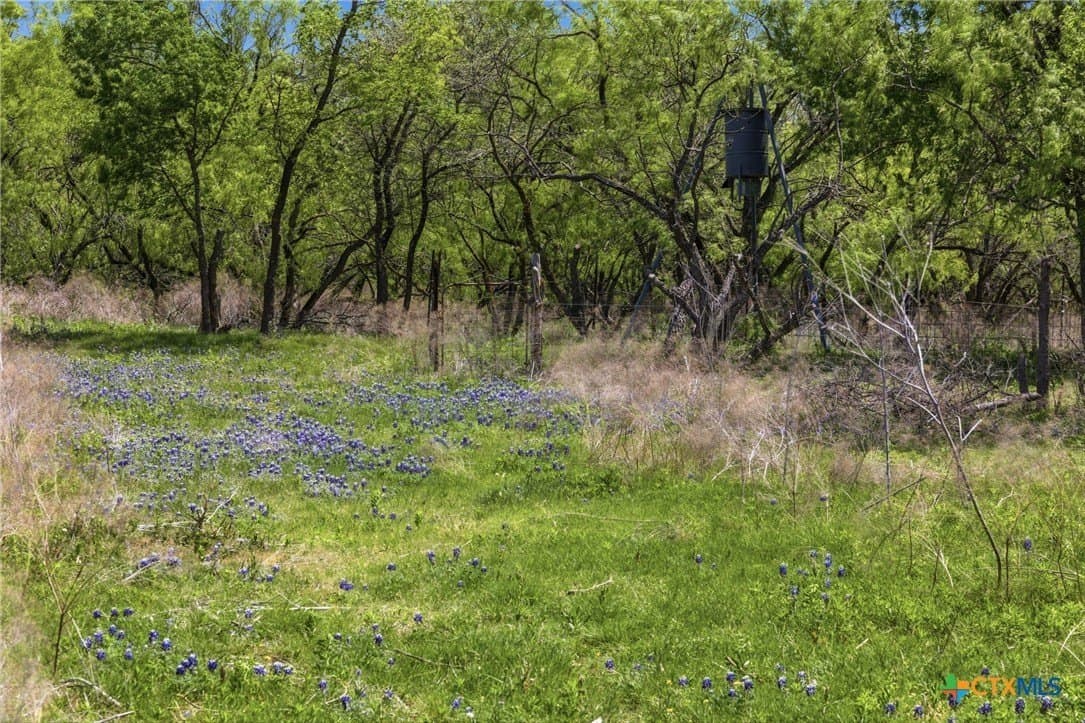 24 acres in Bell County - photo 17