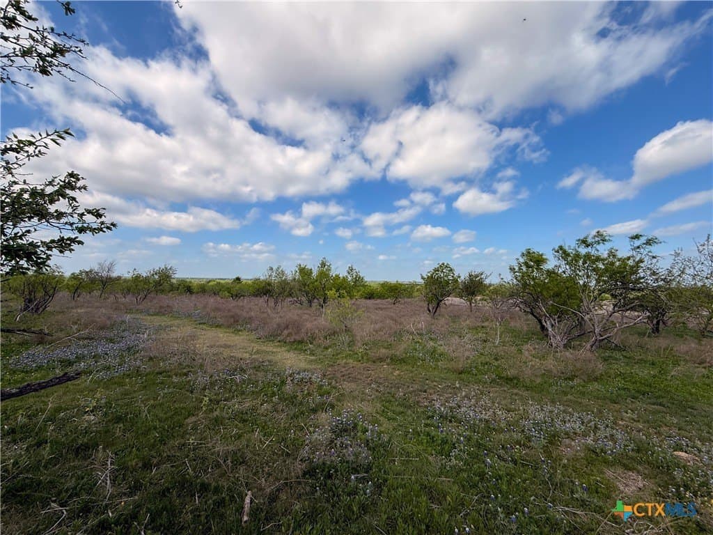 24 acres in Bell County - photo 32