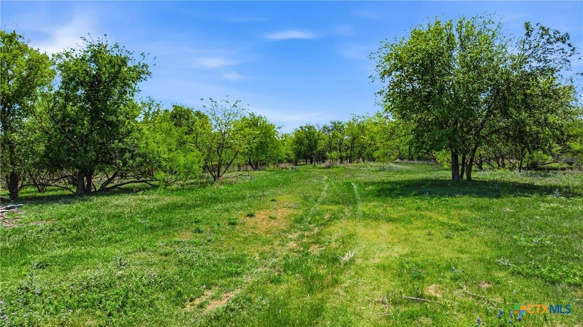 24 acres in Bell County gallery image 2