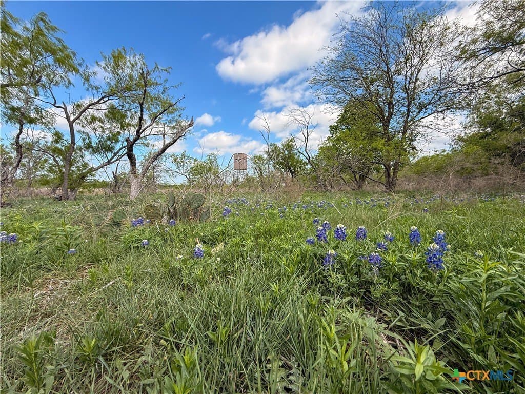 24 acres in Bell County - photo 28
