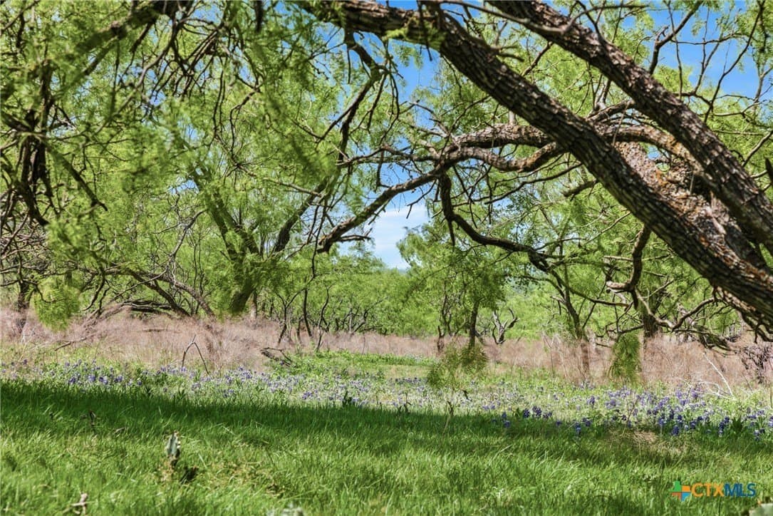 24 acres in Bell County - photo 8