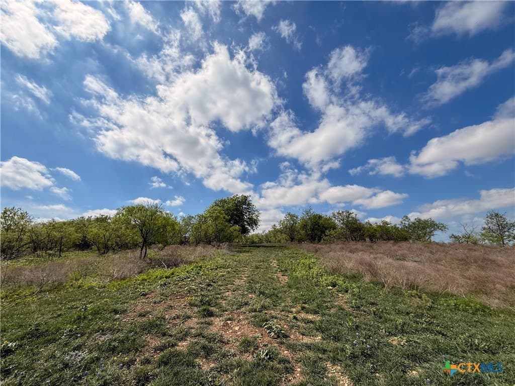 24 acres in Bell County - photo 33