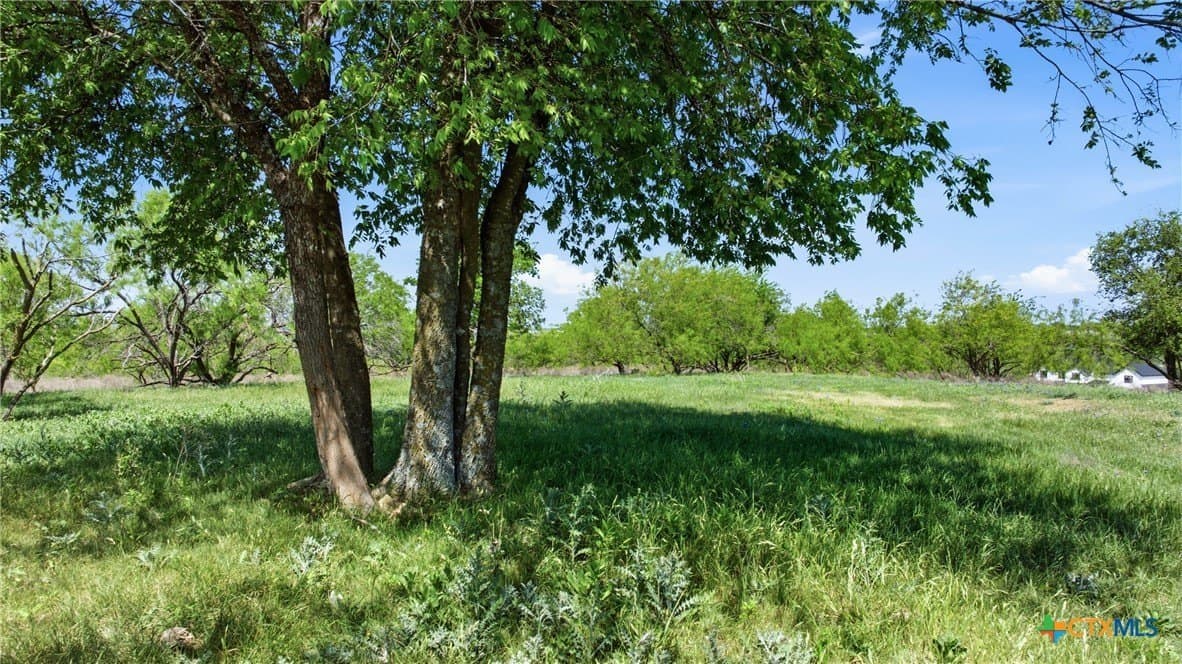 24 acres in Bell County featured view