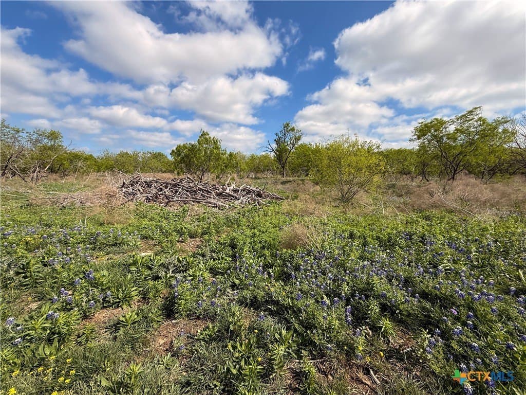 24 acres in Bell County - photo 34