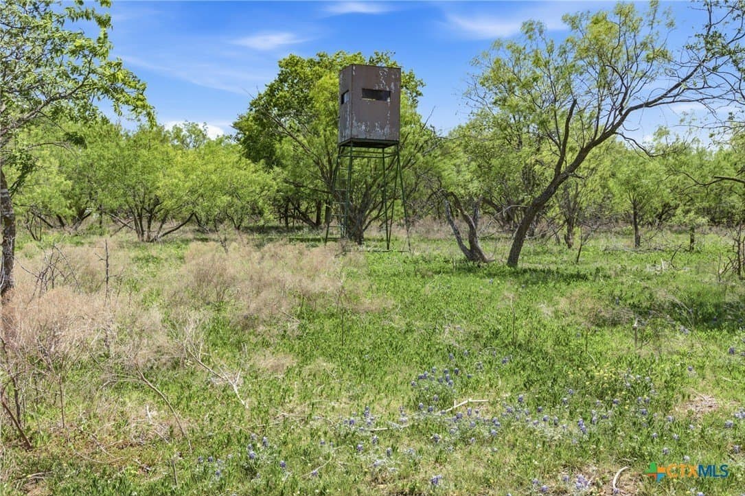 24 acres in Bell County - photo 10