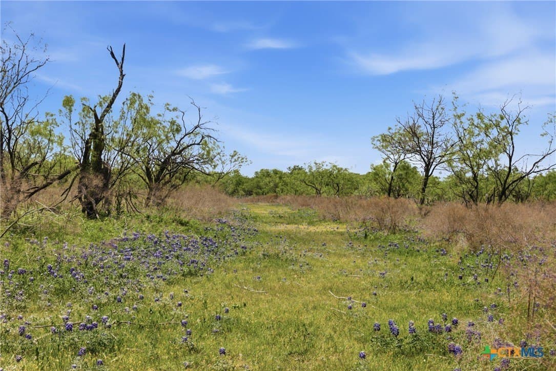 24 acres in Bell County - photo 19