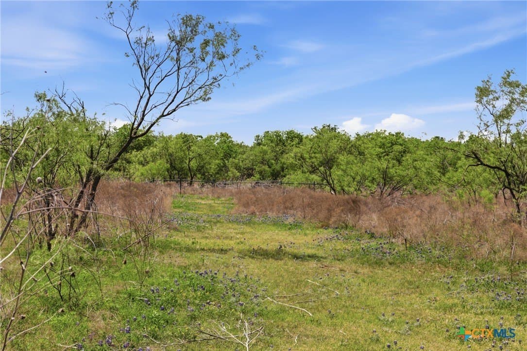 24 acres in Bell County - photo 20