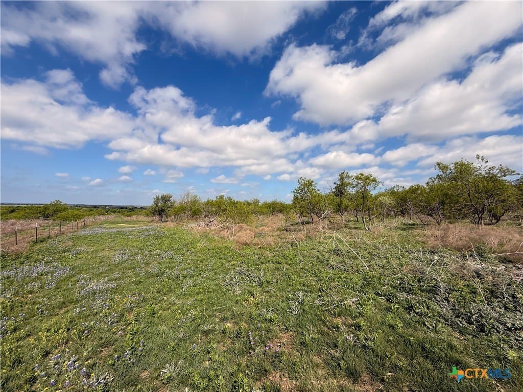 24 acres in Bell County - photo 30