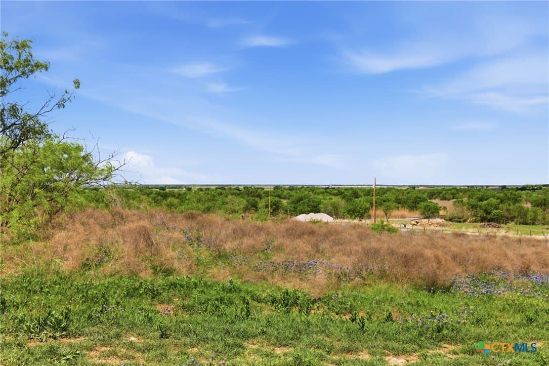 24 acres in Bell County - photo 22