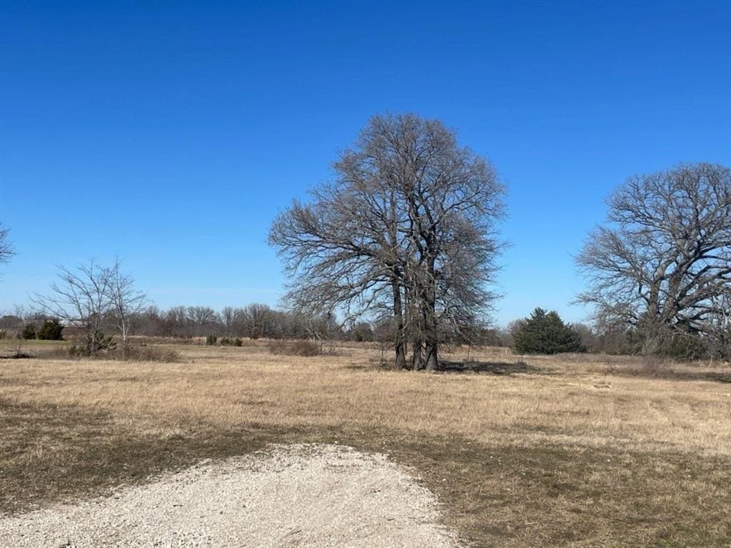 1.37 acres in Kaufman County gallery image 4