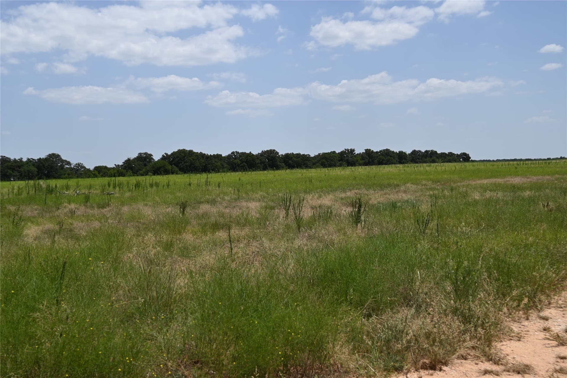 54 acres in Comanche County - photo 28