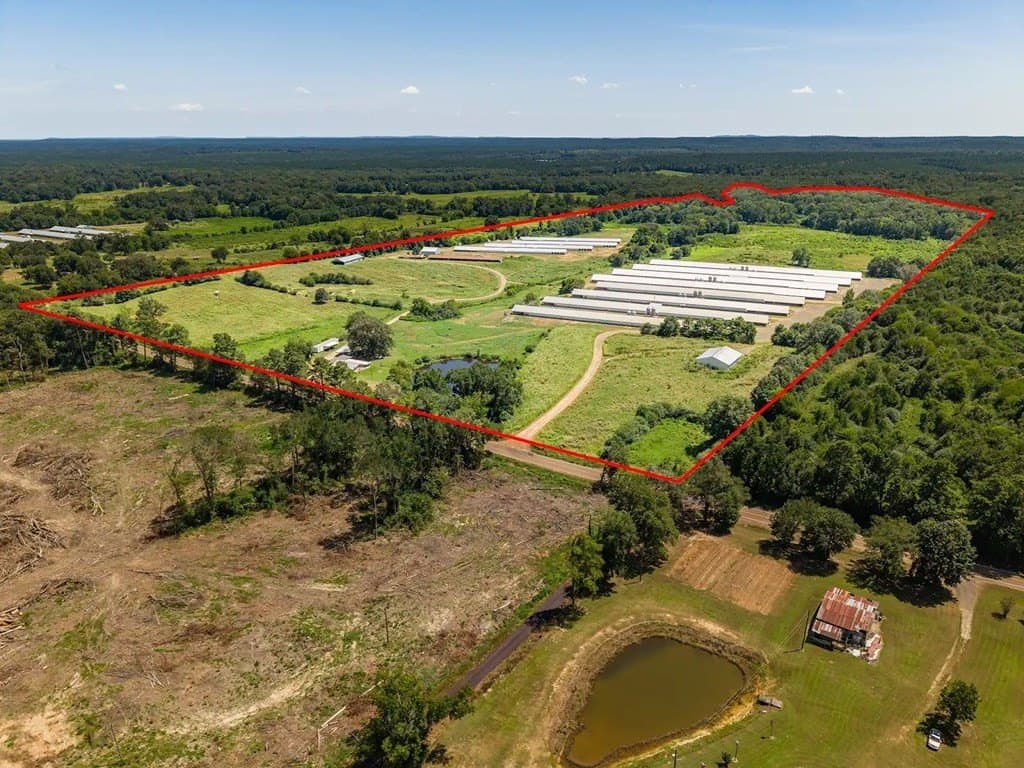 86.7 acres in Texas County gallery image 3