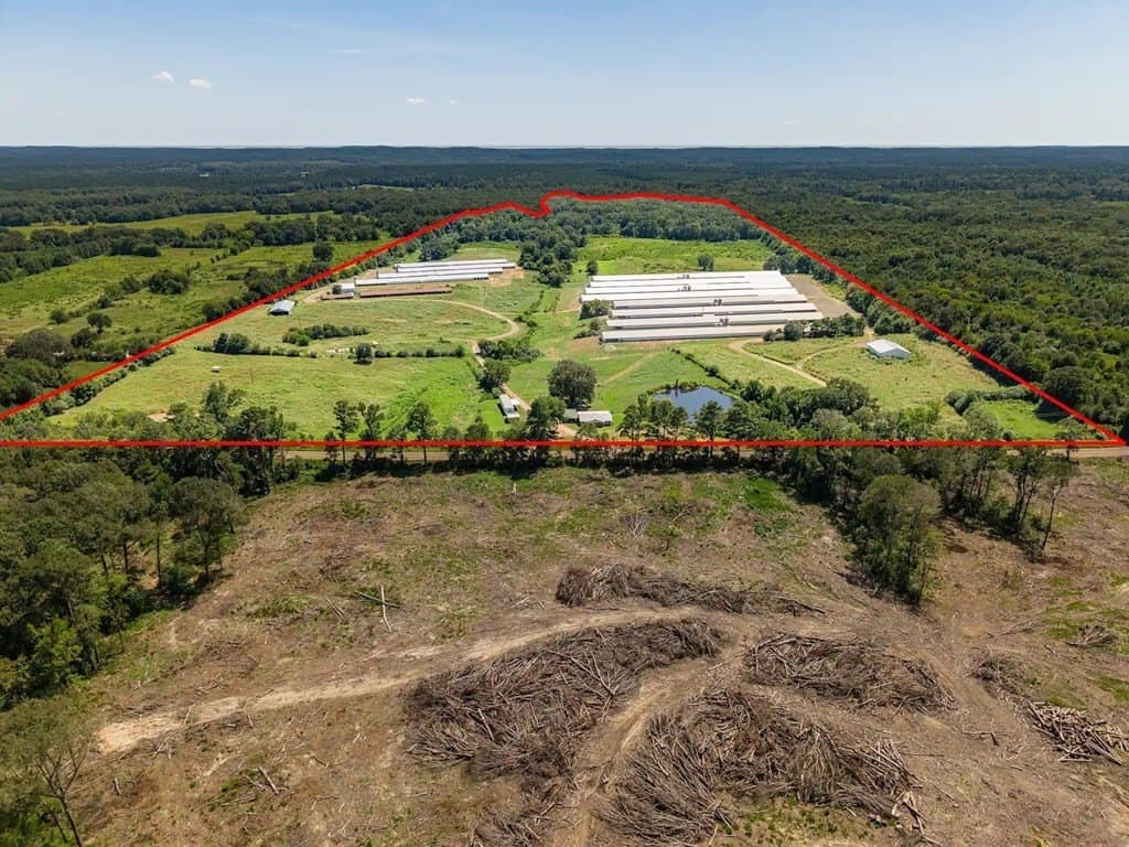 86.7 acres in Texas County gallery image 2
