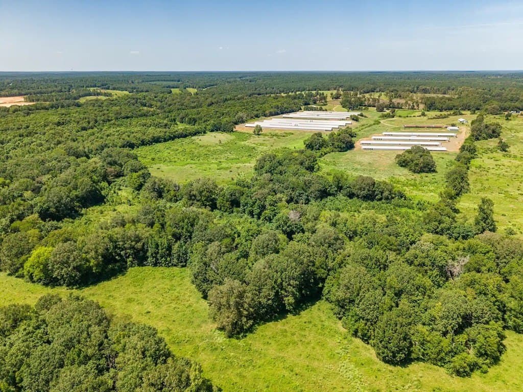 86.7 acres in Texas County - photo 8