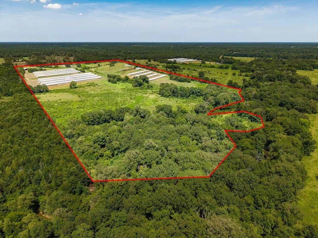 86.7 acres in Texas County - photo 6